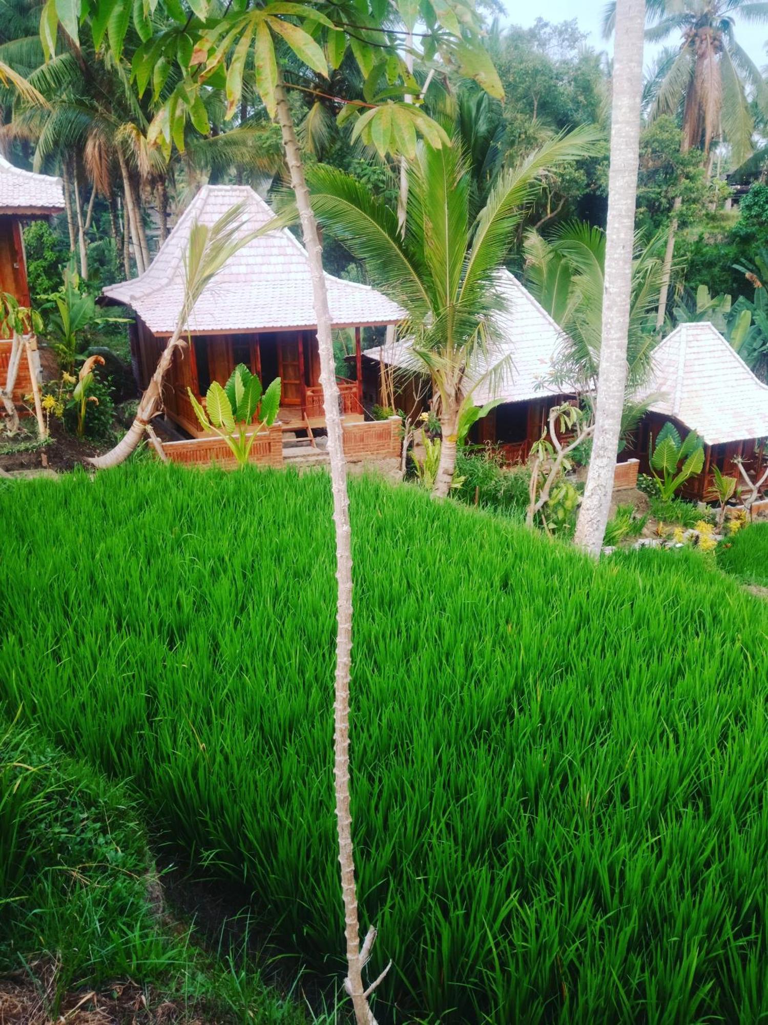 Wooden House And Ubud