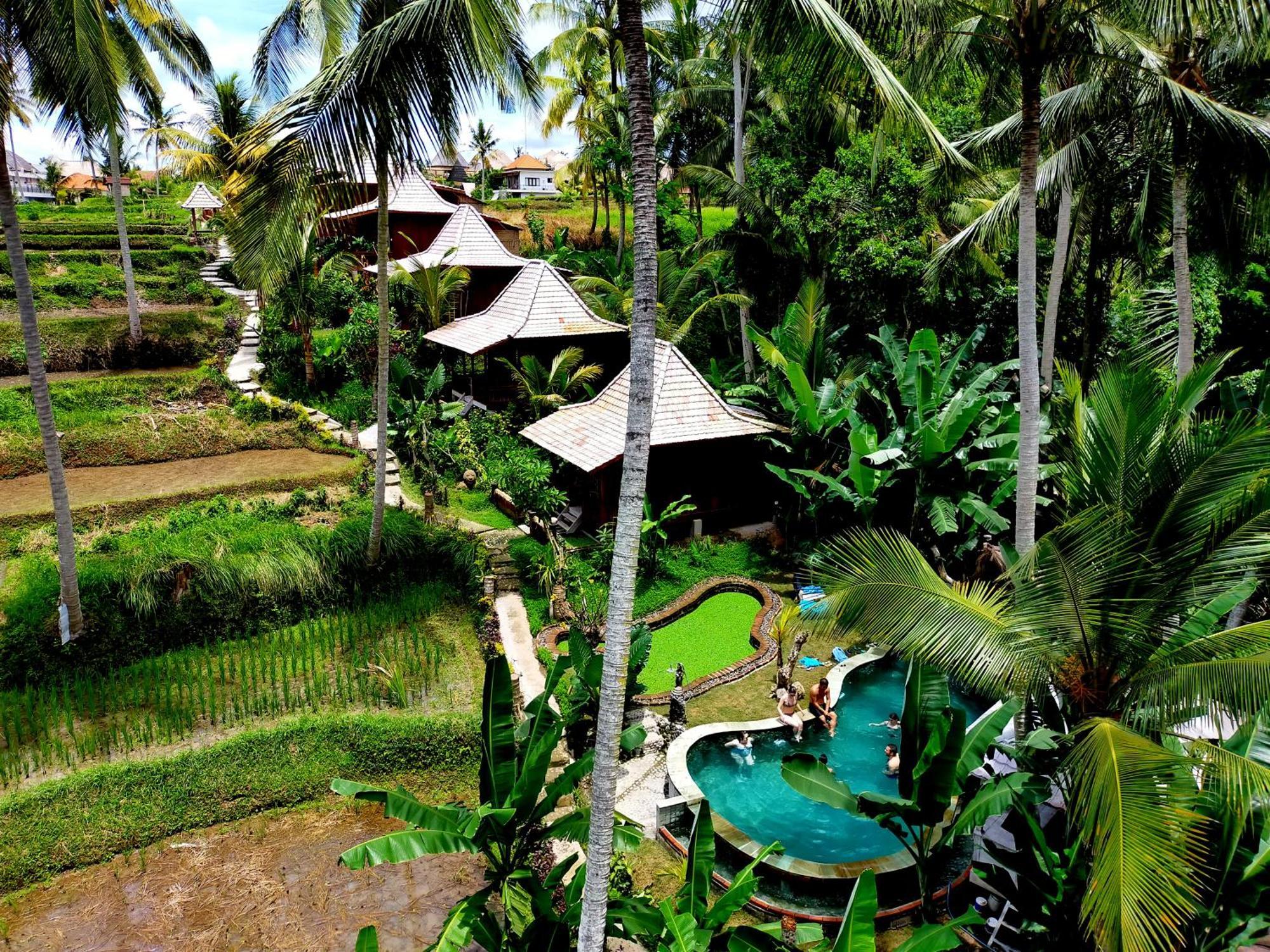 Vakantiepark Wooden House And Ubud
